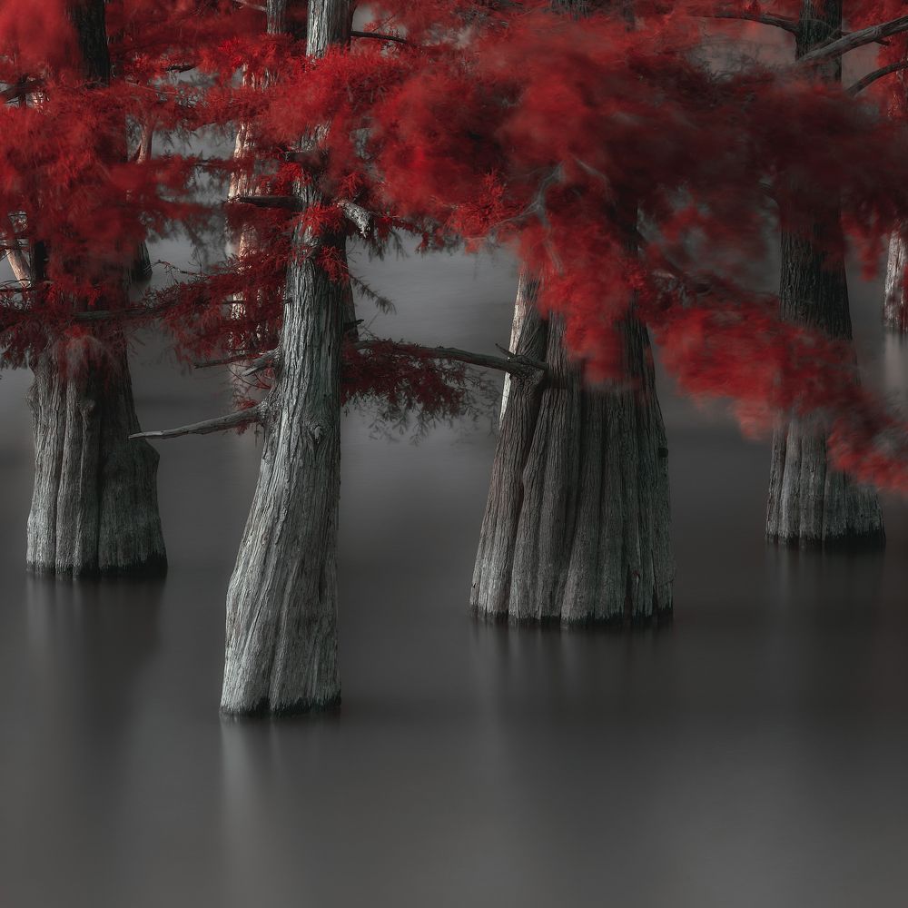 Photograph by Антон Шваин