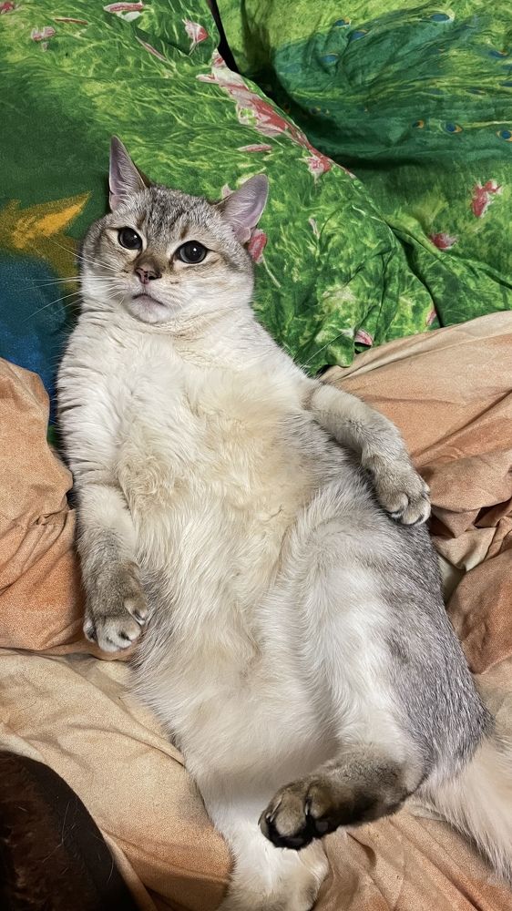 Photograph by Alina Andreevna