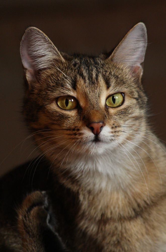 Photograph by Вася Кадочников