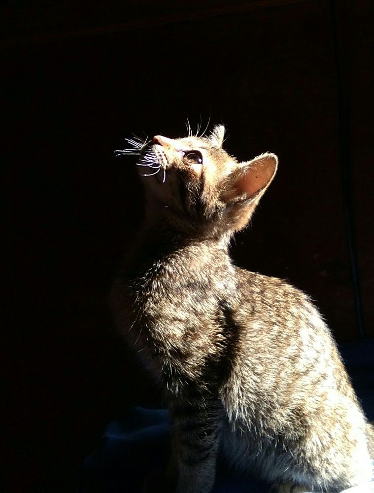Photo #8986111