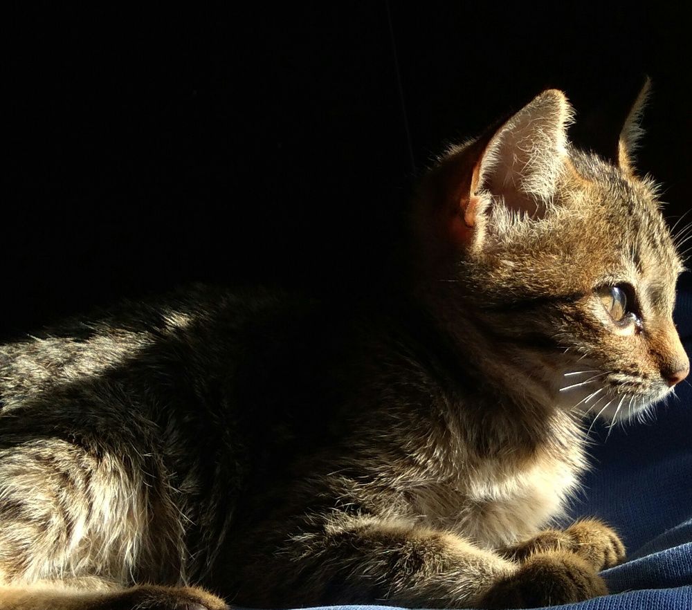 Photo #8986114