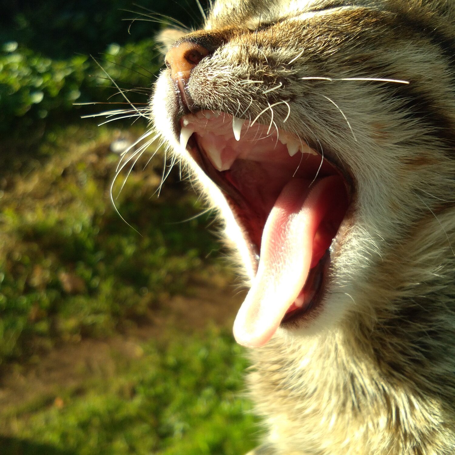 Photo #8986117