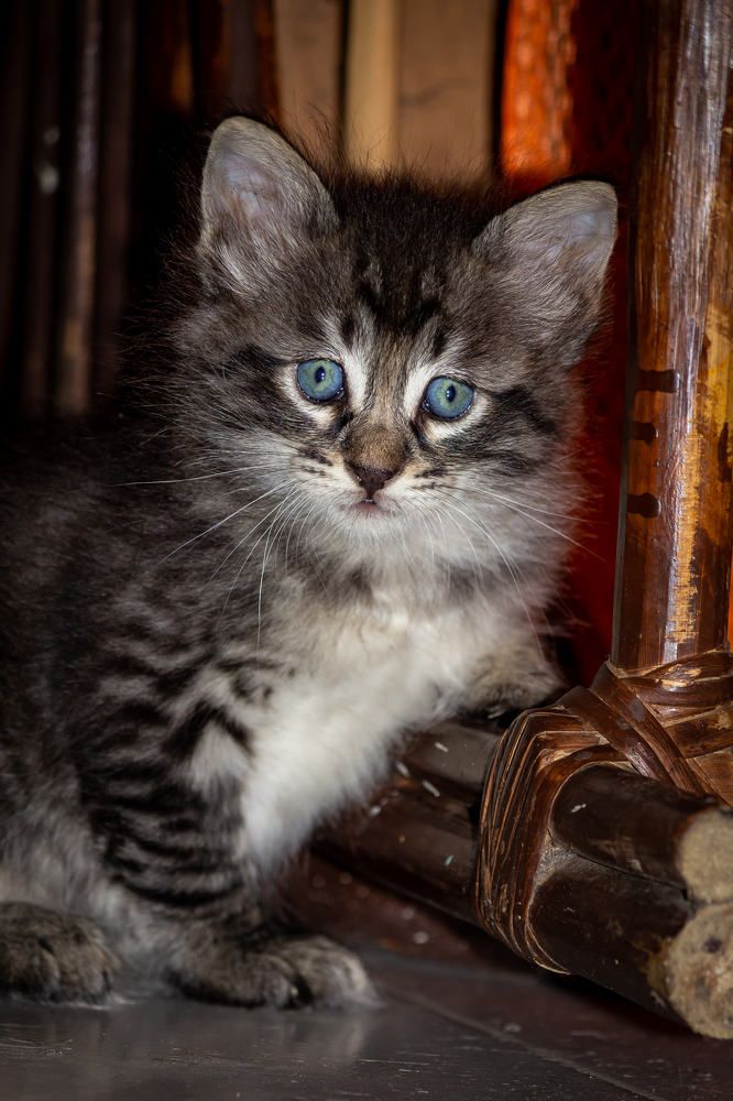 Photograph by Jaspreet Singh