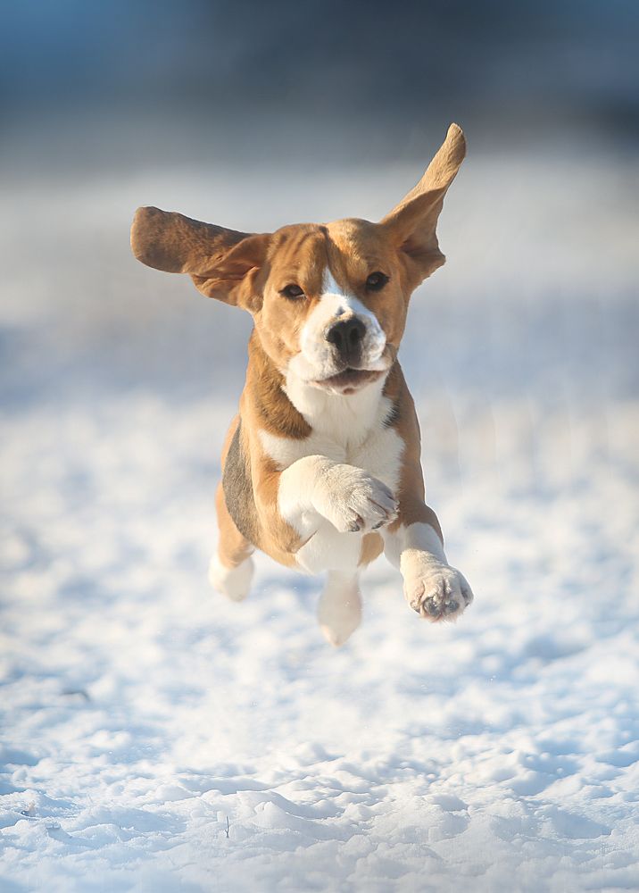 Фотография автора Katerina Mumzhinskaya