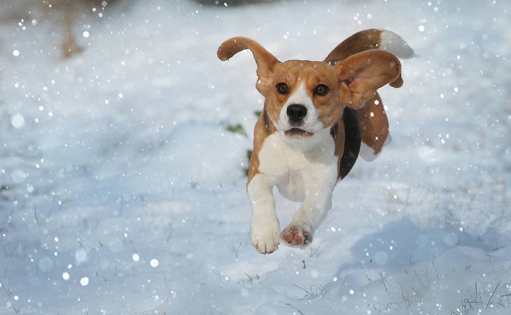 I belive I can fly !