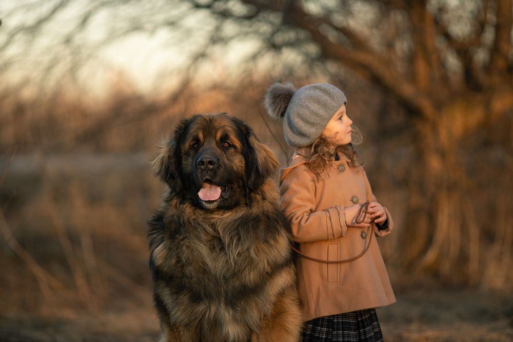 Photograph by Юлия Лоза