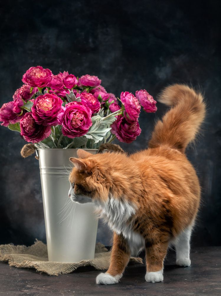 Фотография автора Герц Дмитрий