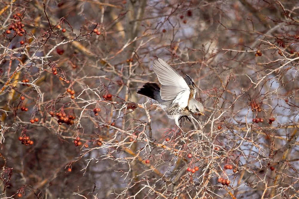 Photograph by Оксана