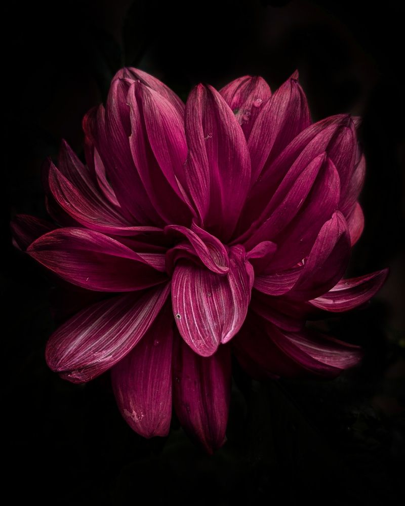 Photograph by Дарья Макаревич