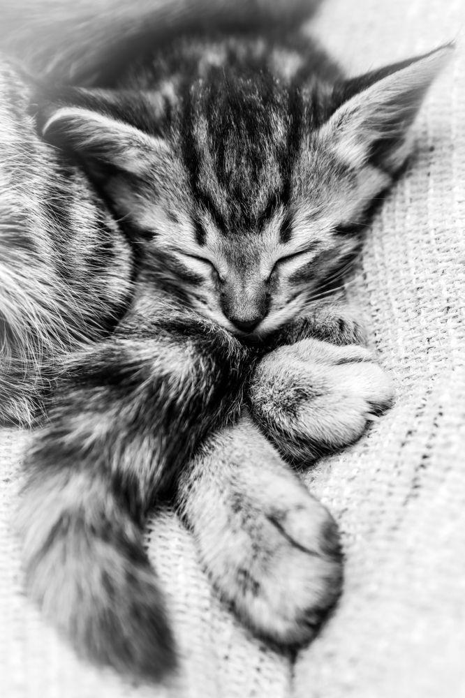 Photograph by Марина Александрова