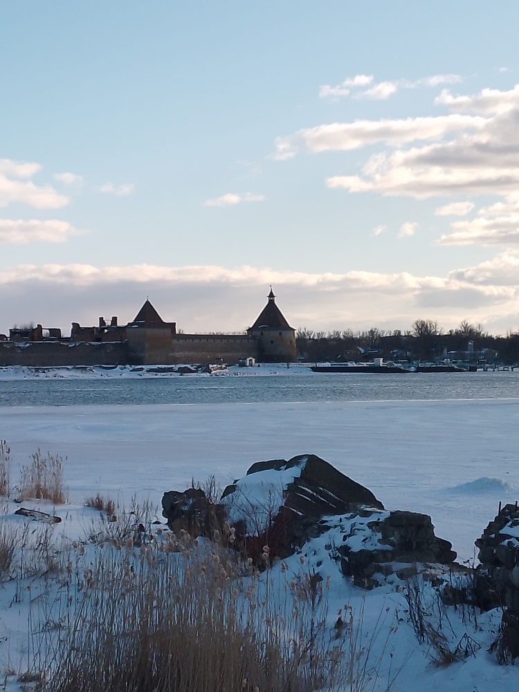 Photo #8986380