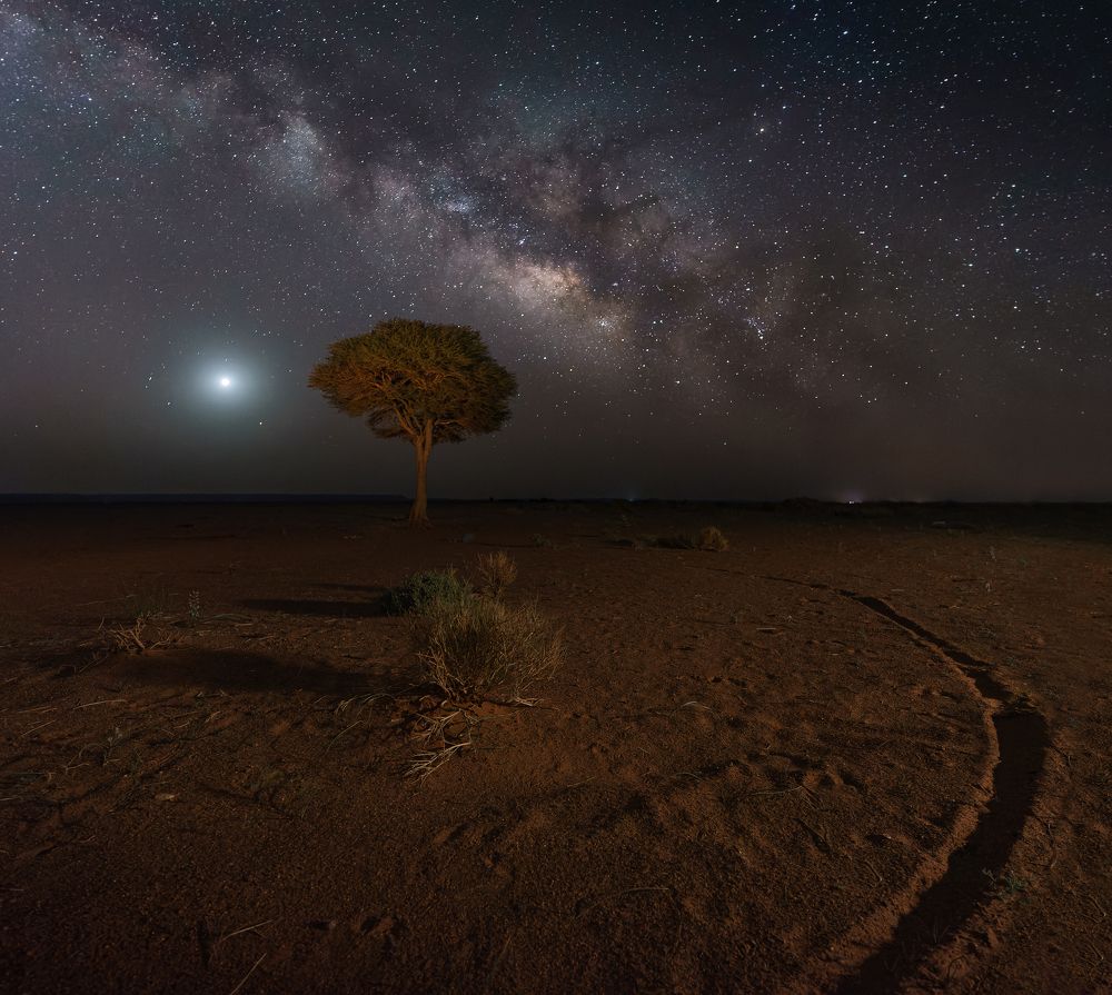 Photograph by Francisco Crusat