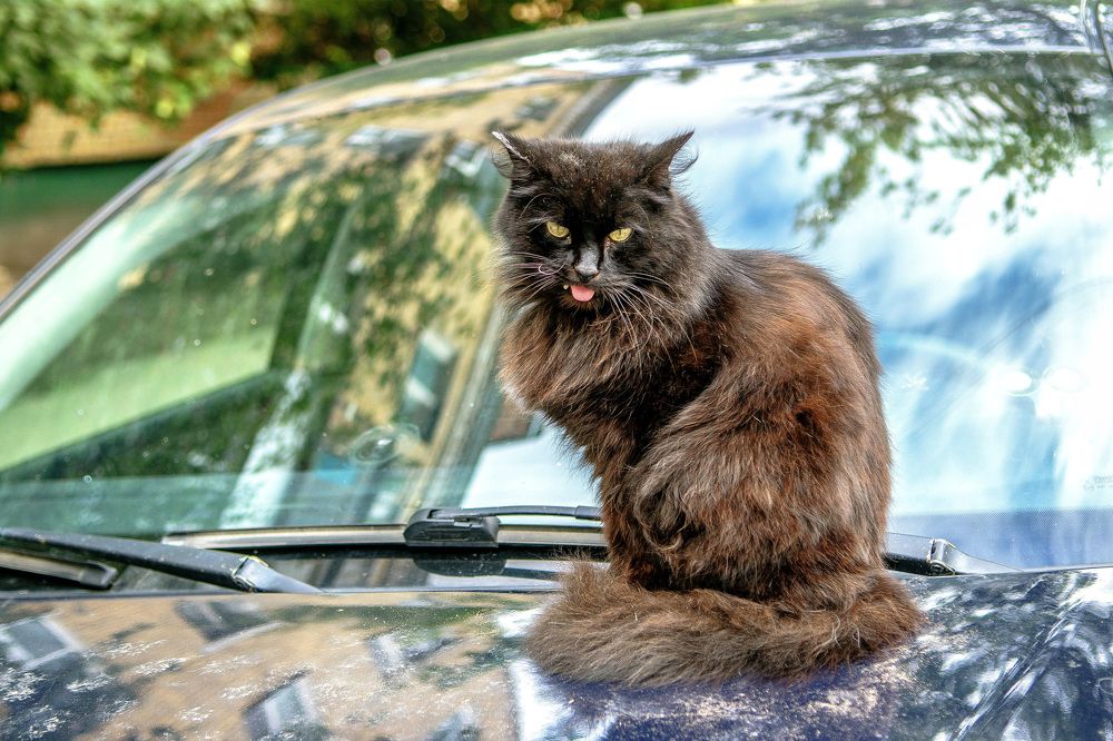 Photograph by Батурин Геннадий