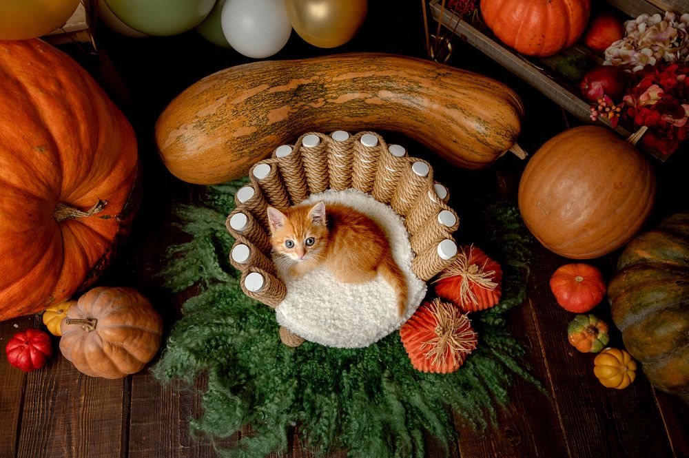 Photograph by Анна Грин