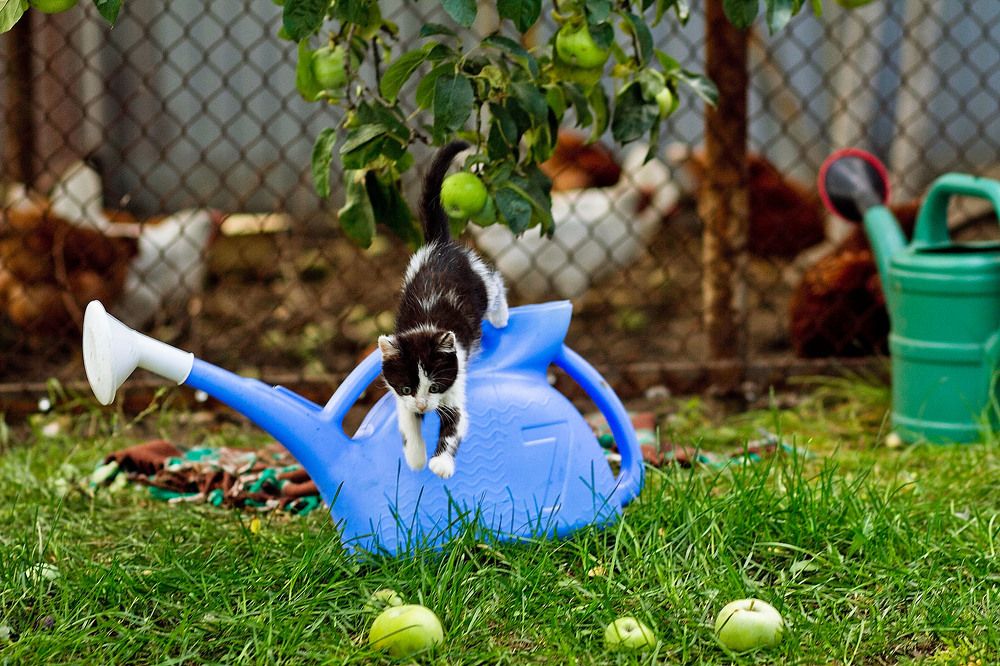 Photograph by Оксана