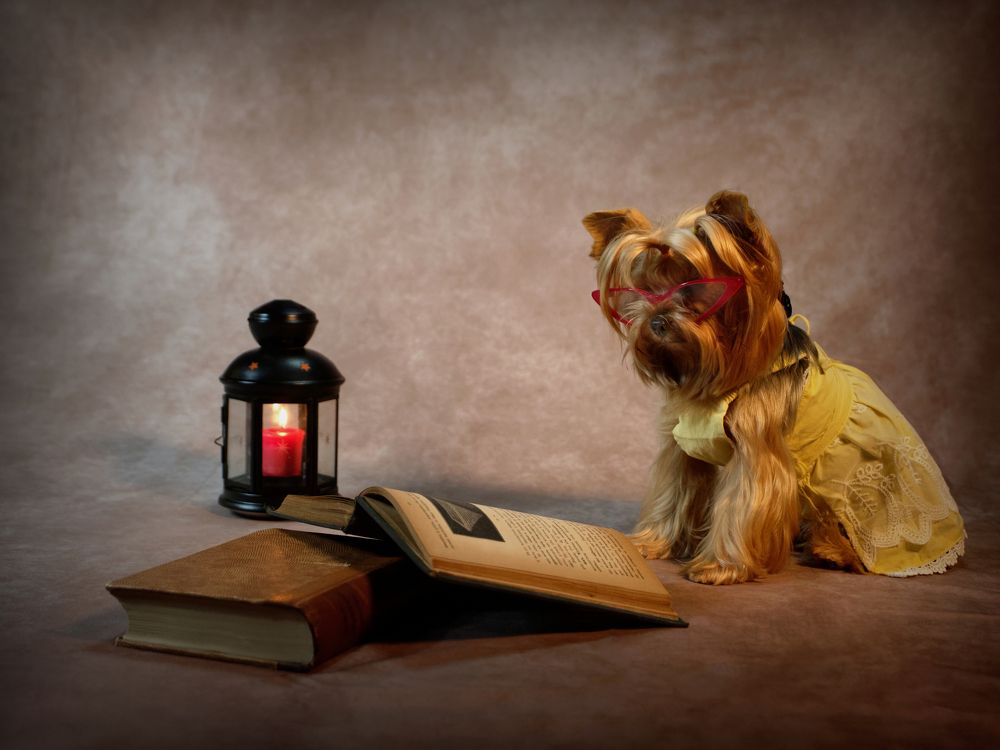 Photograph by Ilias Kapsomenakis