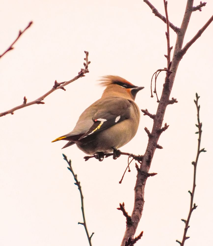 Photograph by Юлия Закопайло