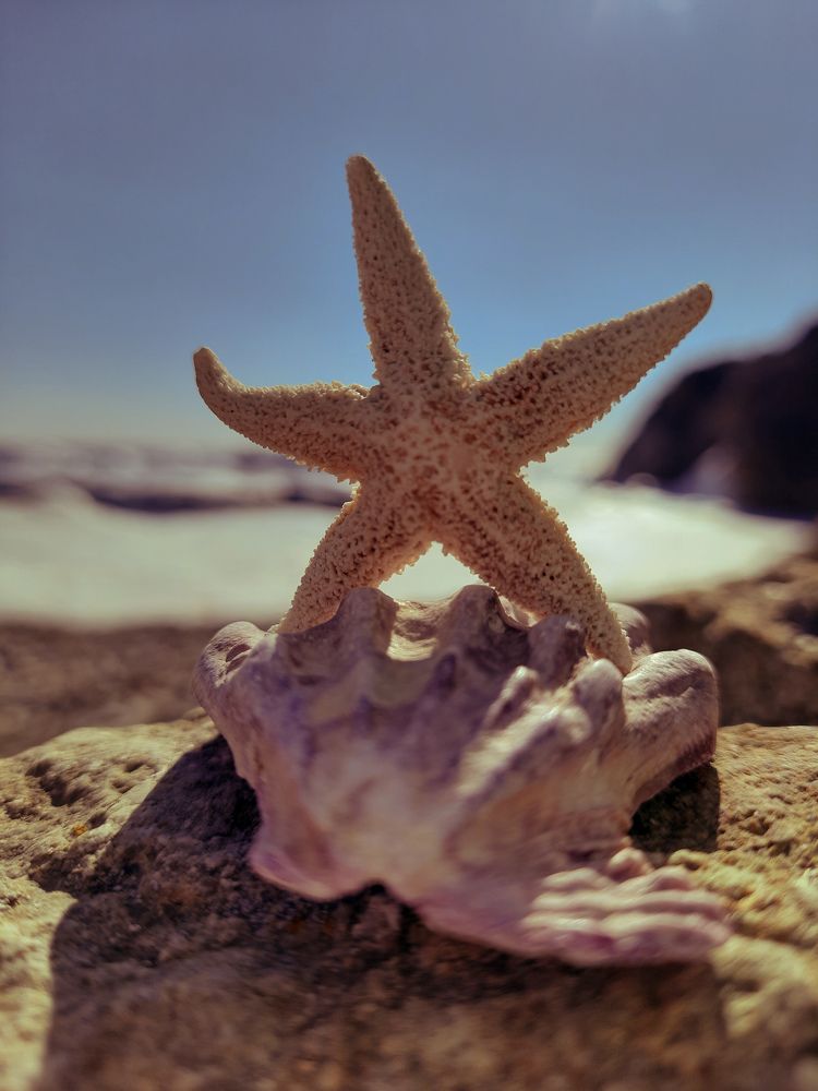 Photograph by Наталья Чередниченко