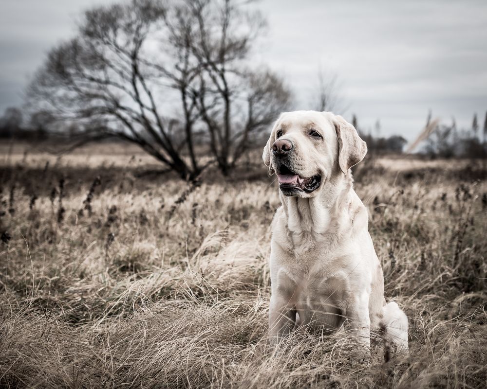 Photograph by Андрей Худзиев