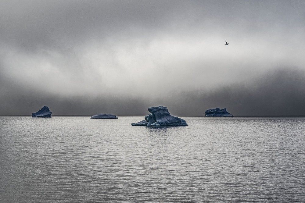 Photograph by Алексей Логинов