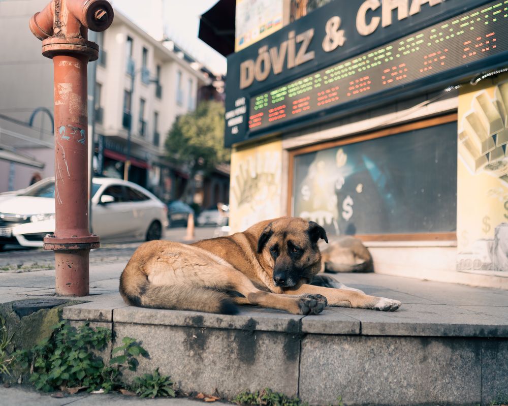 Photograph by Андрей Худзиев