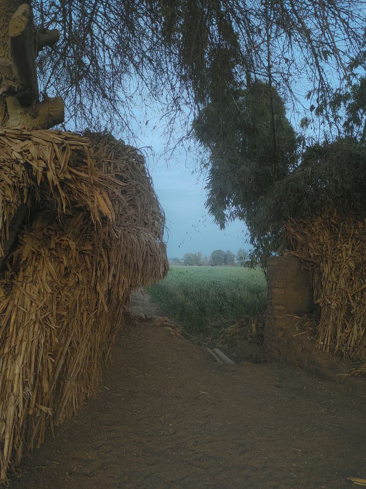 Photograph by ahmed shehata