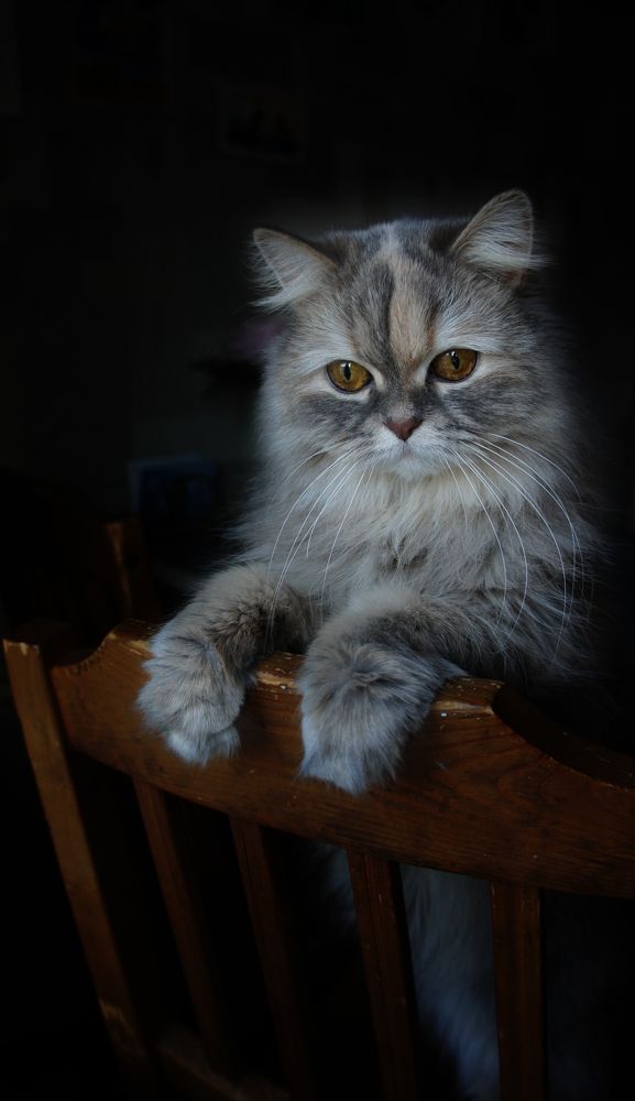 Photograph by Анна Давыдова