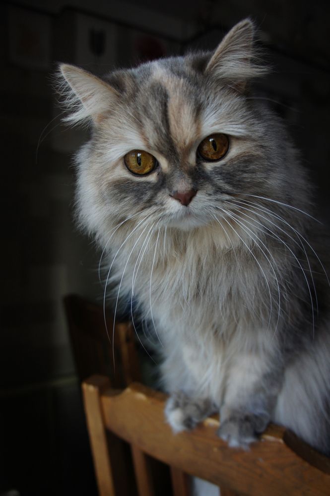 Photograph by Анна Давыдова