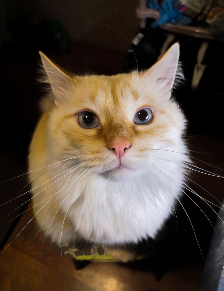 Photograph by ValentinaK