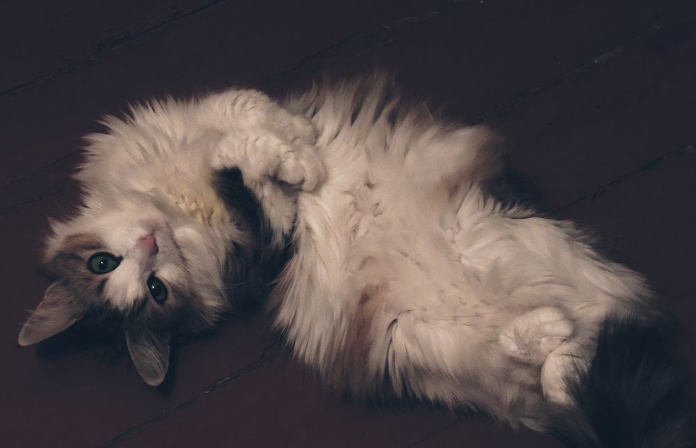 Photograph by Ольга Александрова