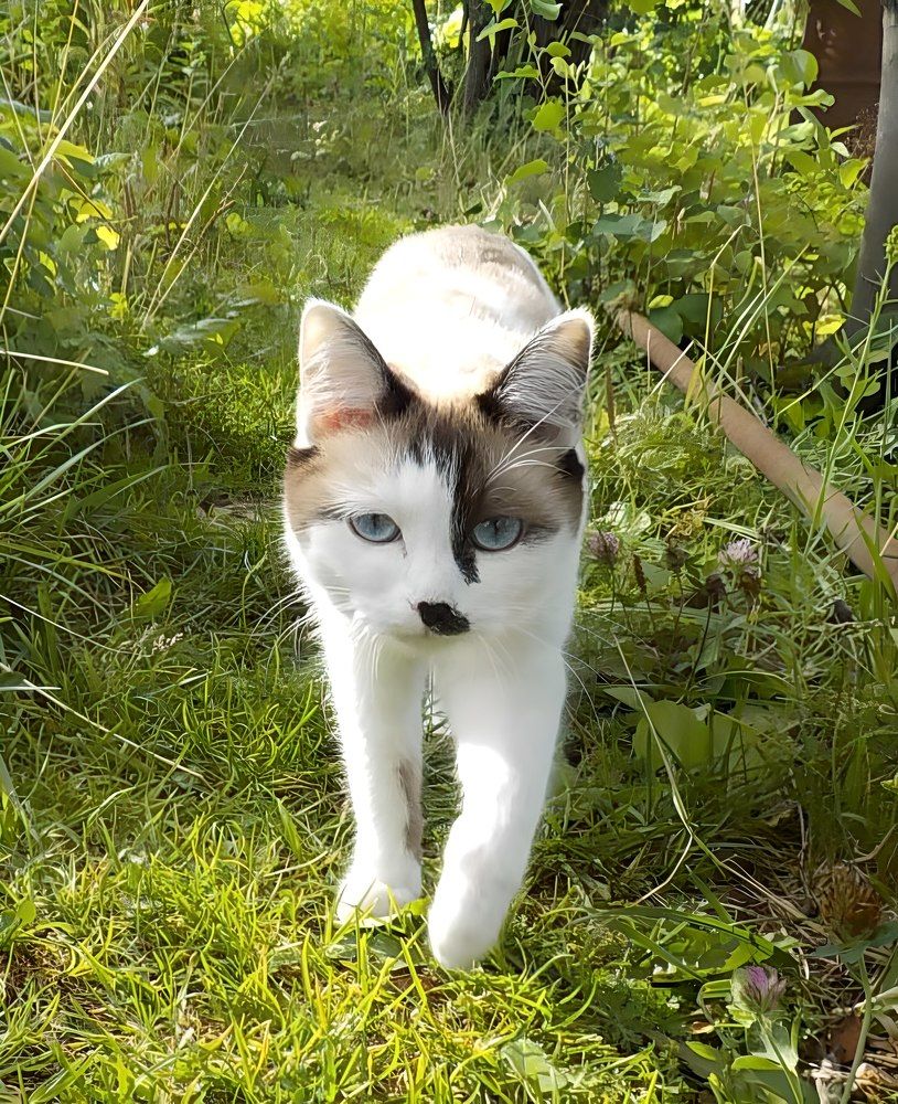 Photograph by Ольга