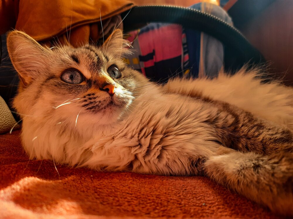 Photograph by Алексей Степанов