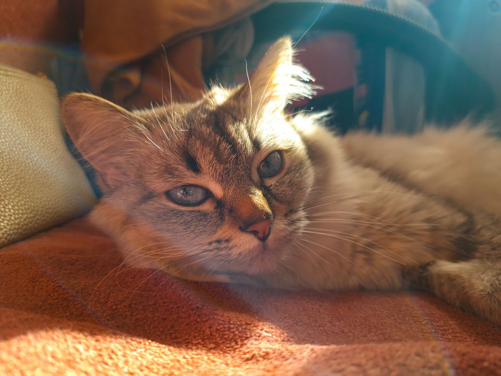 Photograph by Алексей Степанов