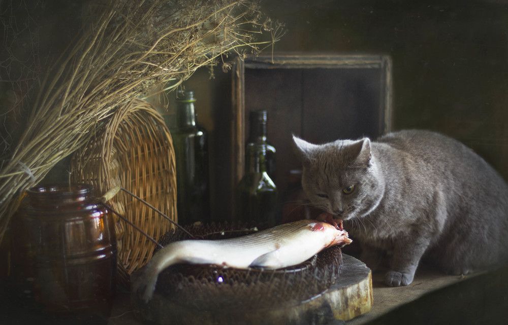 Вкусная рыбка