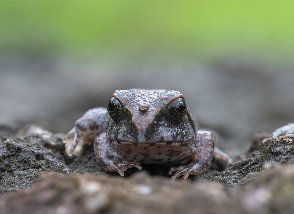 Photograph by Ranjith Kumar