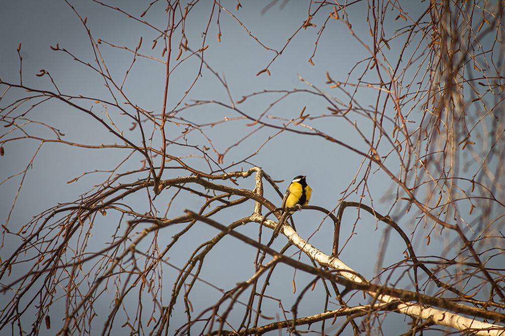 Photograph by Николай Яковлев