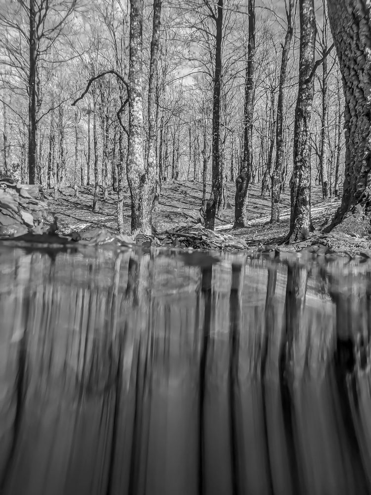 Photograph by Bilal Bechna