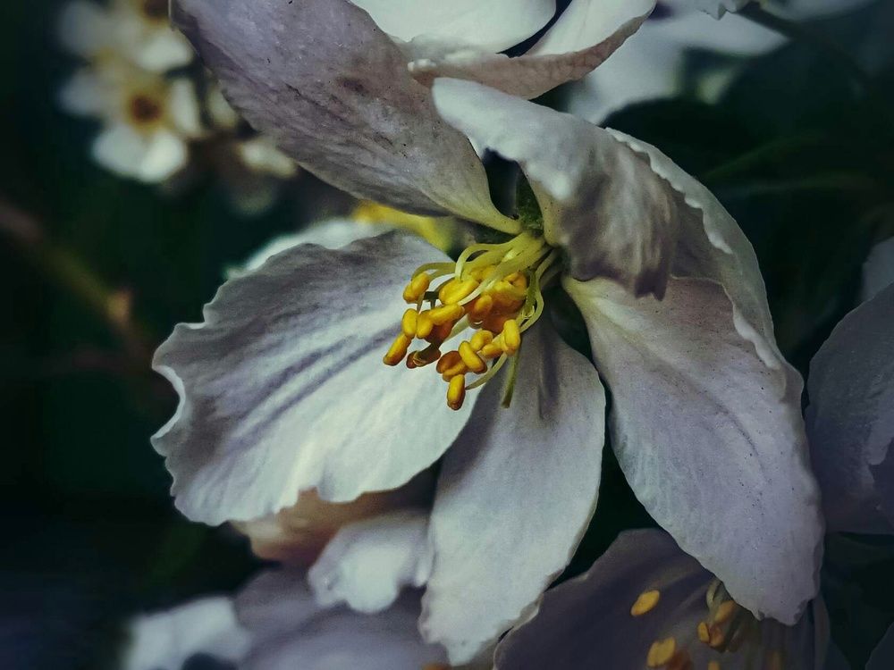 Photograph by Александра Королёва