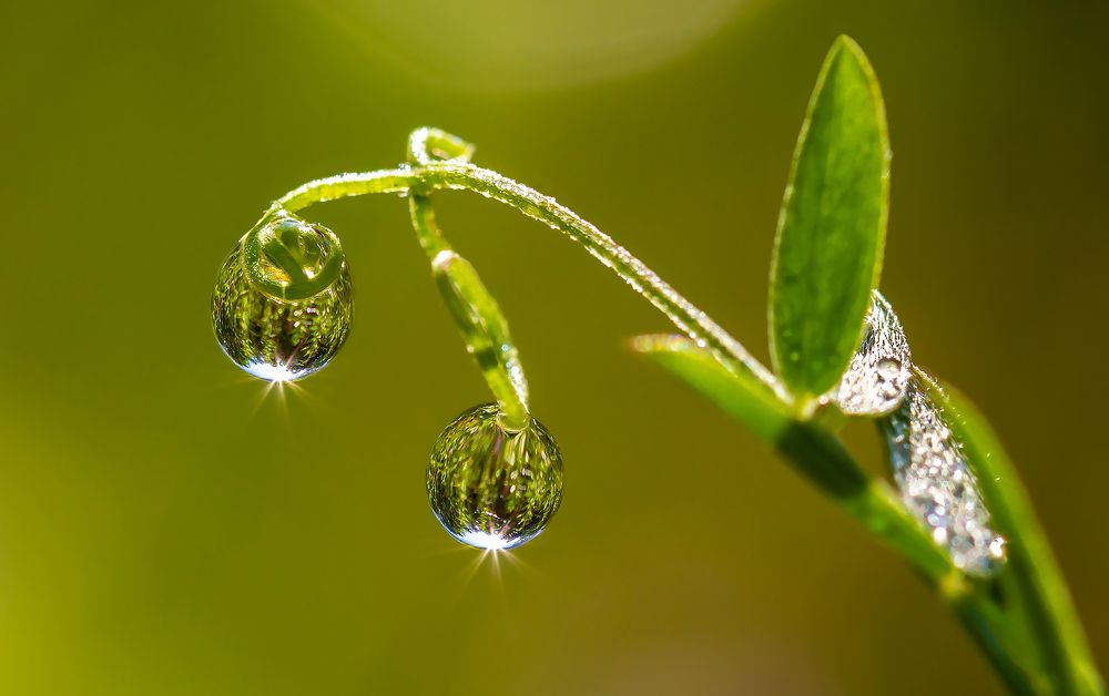 Фотография автора Andrey Pristyazhnyuk