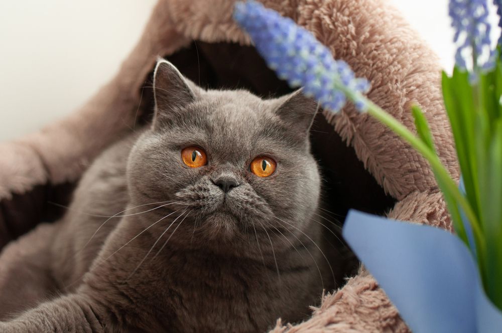 Photograph by Наталия Акимова