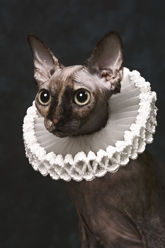 Photograph by Peyman Naderi