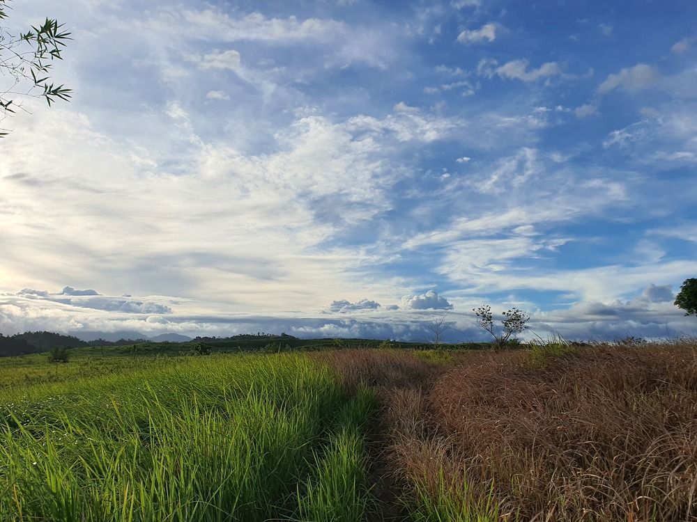 Photograph by RICHARD BRIONES