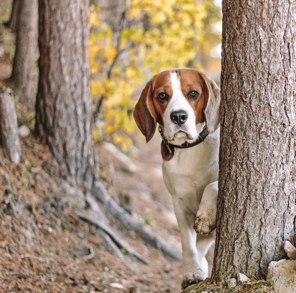 Photograph by Ирина Ахбаш