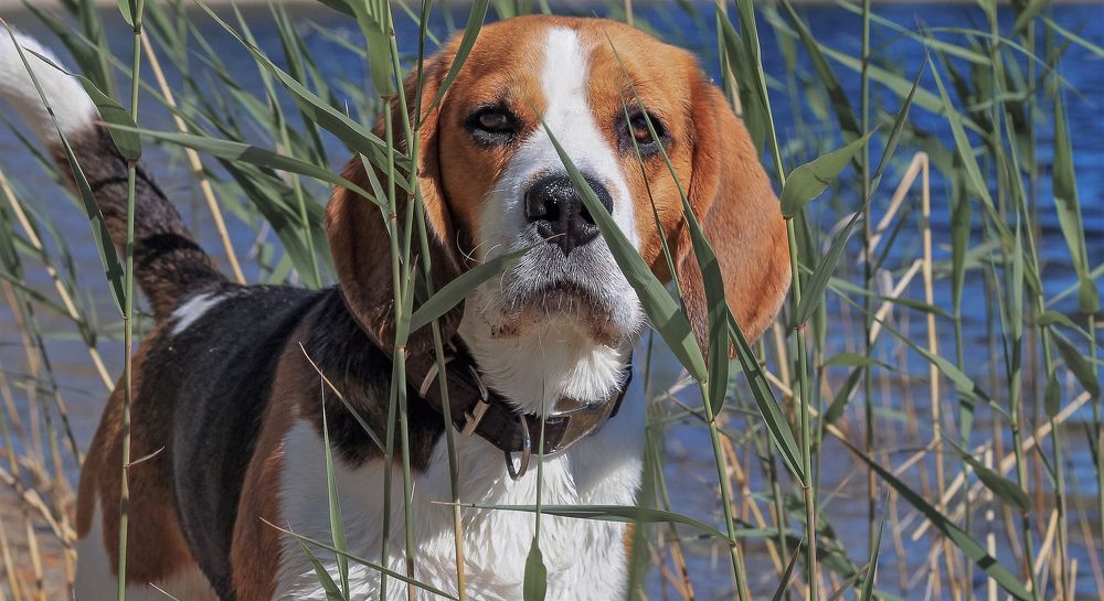 Photograph by Ирина Ахбаш