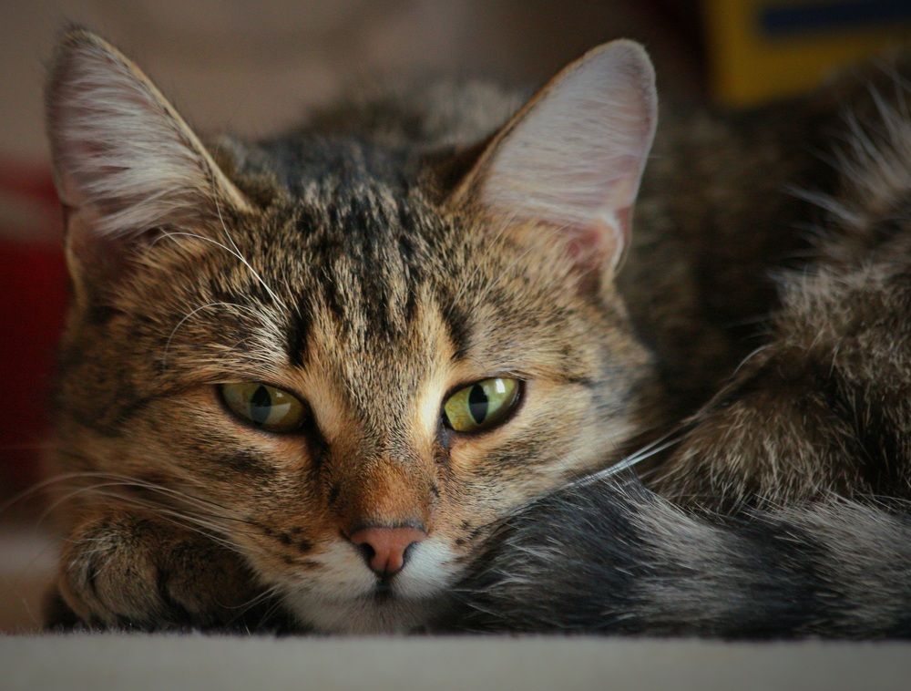 Photograph by Вася Кадочников