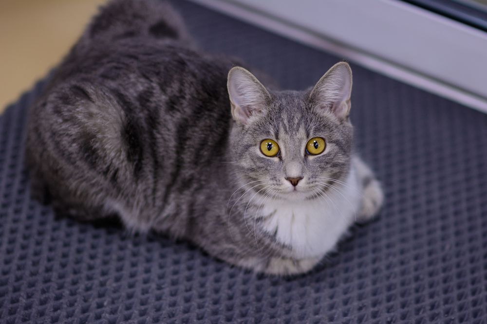 Photograph by Елена Берсенёва