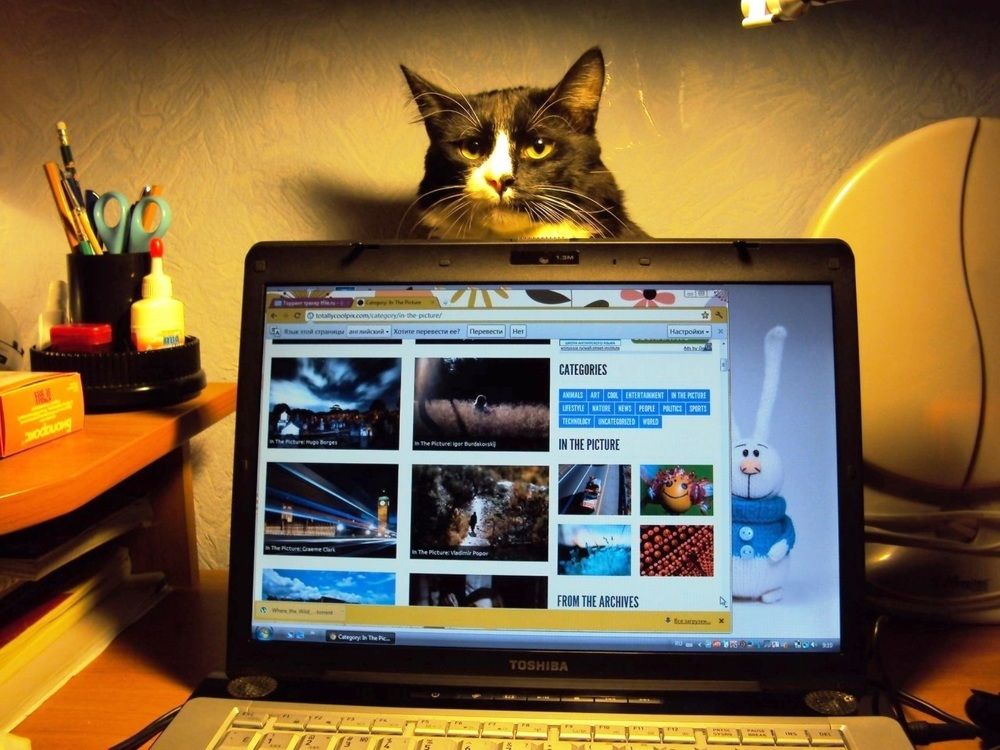 Photograph by Полина Белокопытова