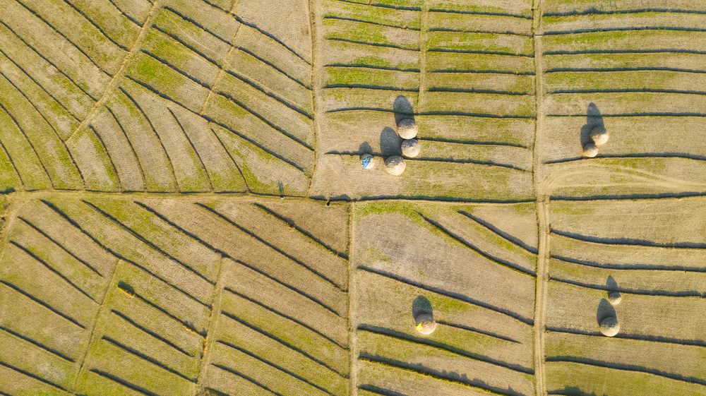 Photograph by Sanket Gudashi