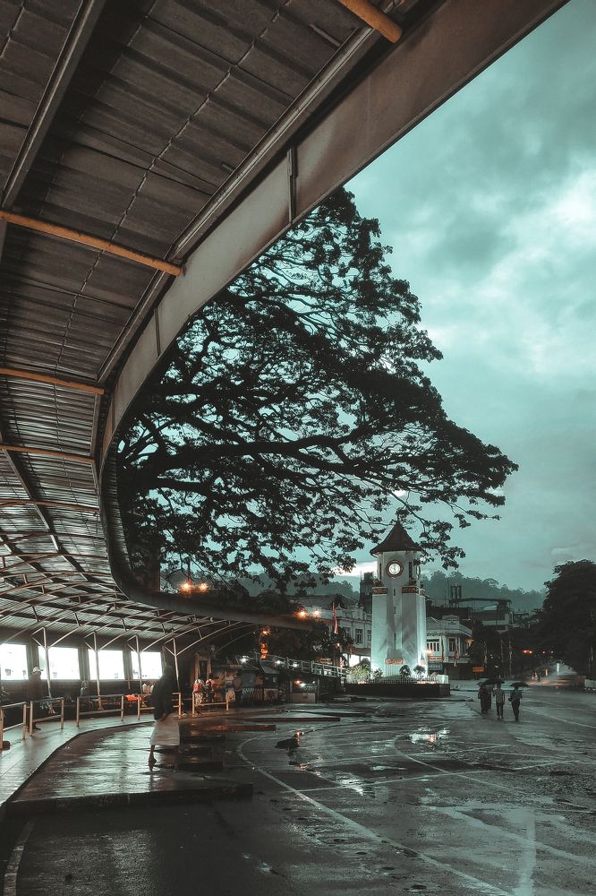 Photograph by Chanaka Weerasingha
