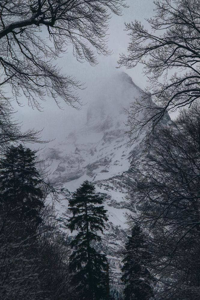 Photograph by Svetlana Karmova